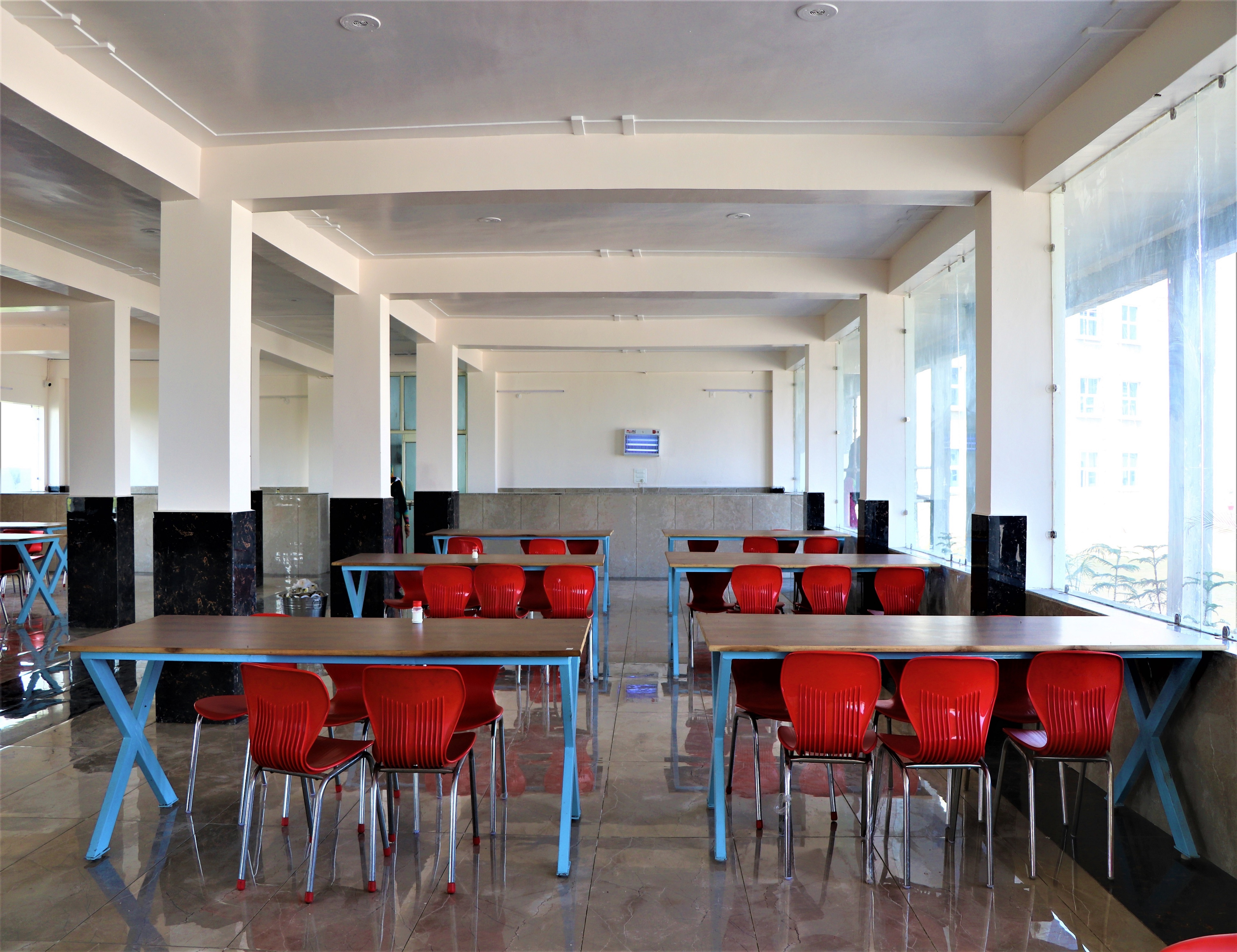 Top private bvsc college in haryana